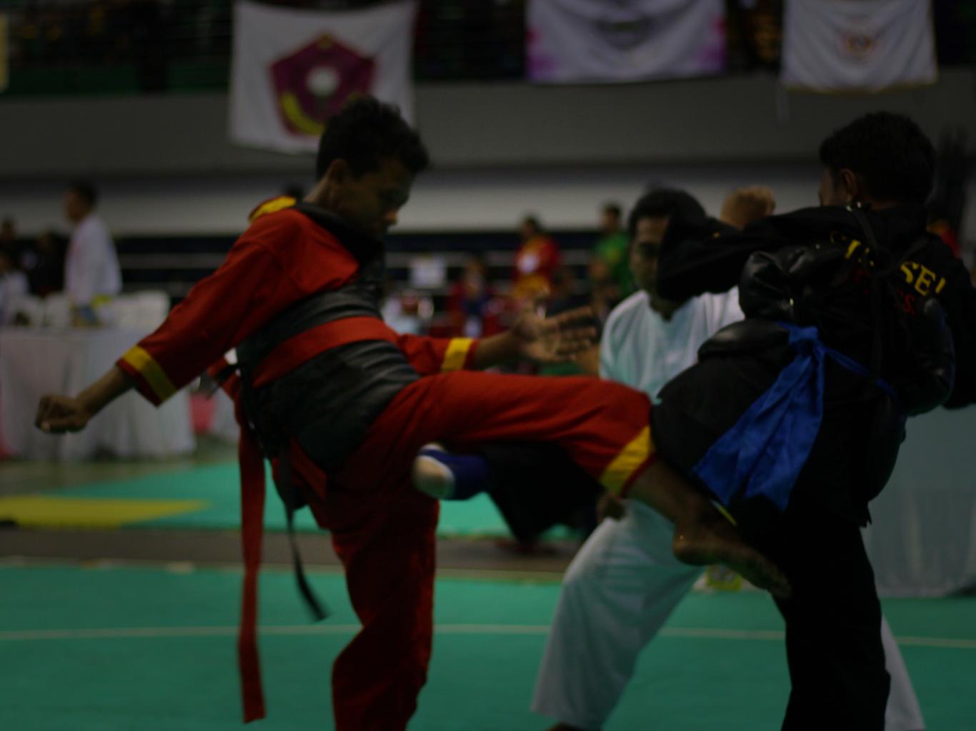 event PESTA PENCAK SILAT NASIONAL